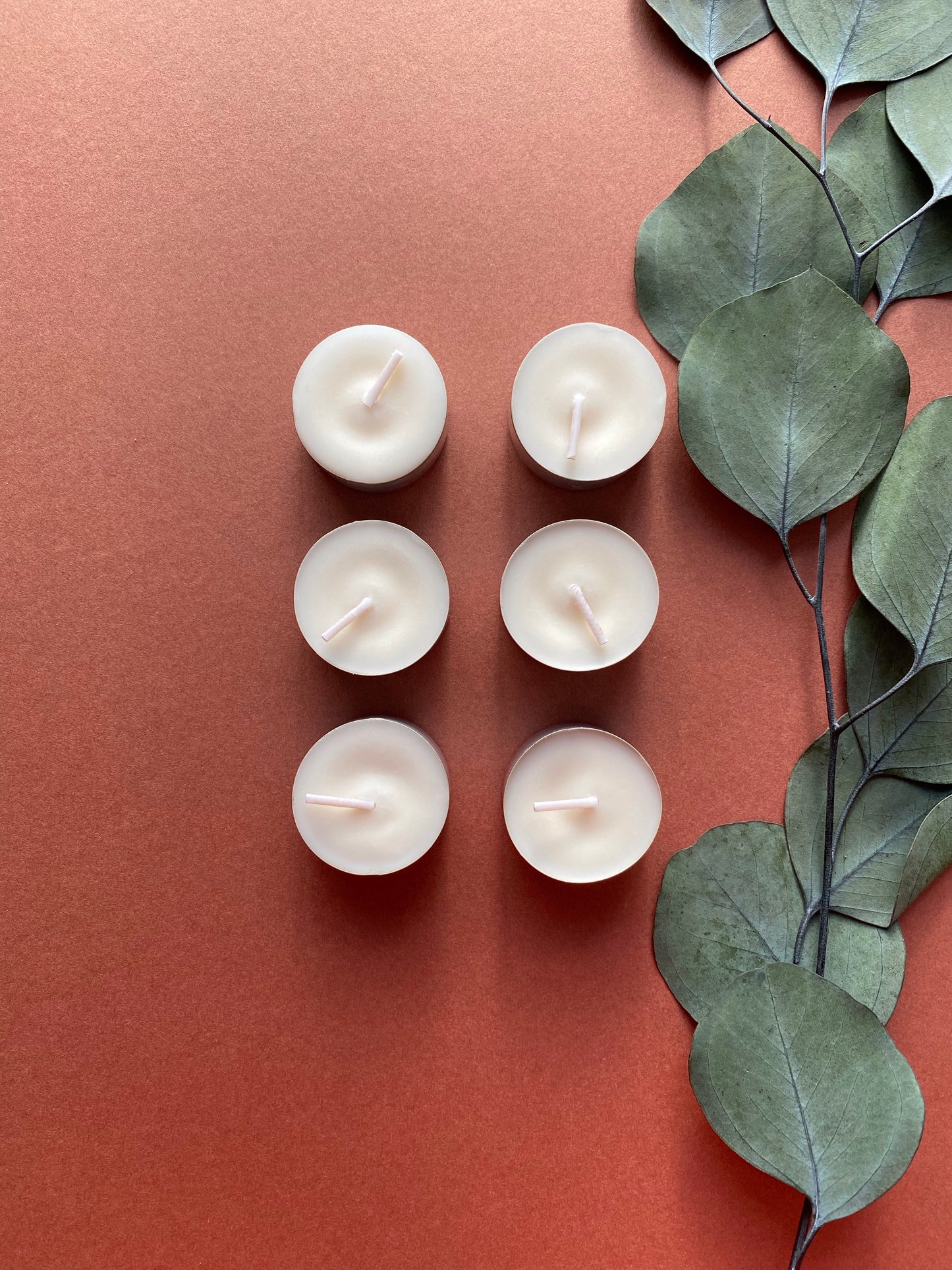 6 Non Scented  Tealights