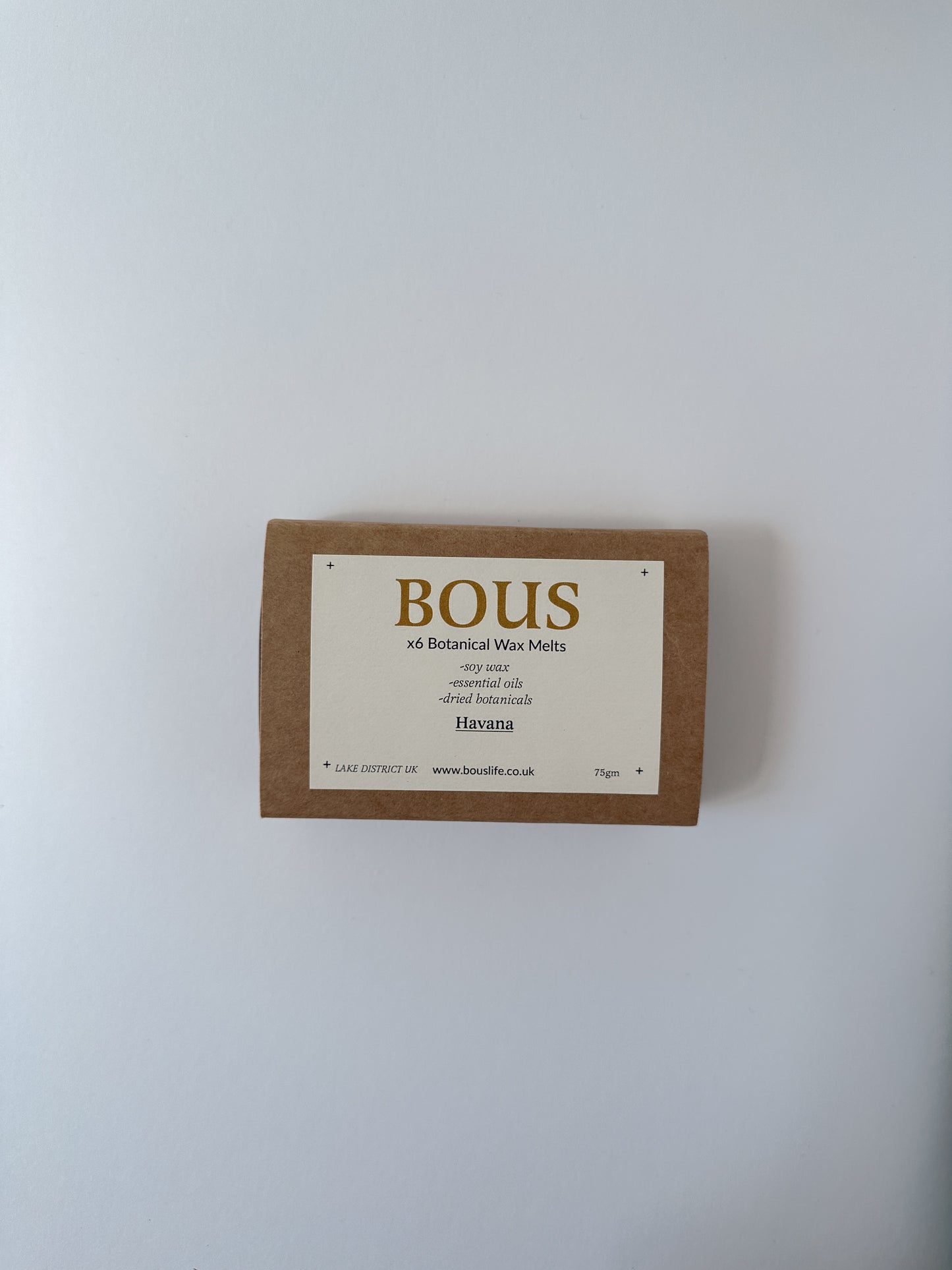 6 Botanical Scented Aromatherapy Wax Melts