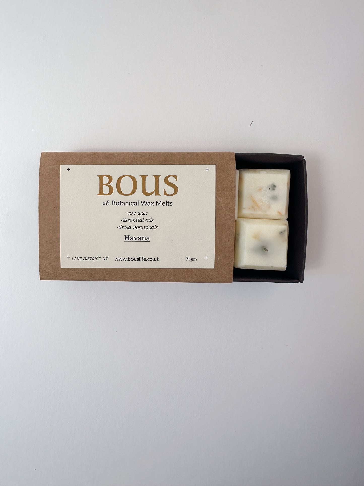 6 Botanical Scented Aromatherapy Wax Melts