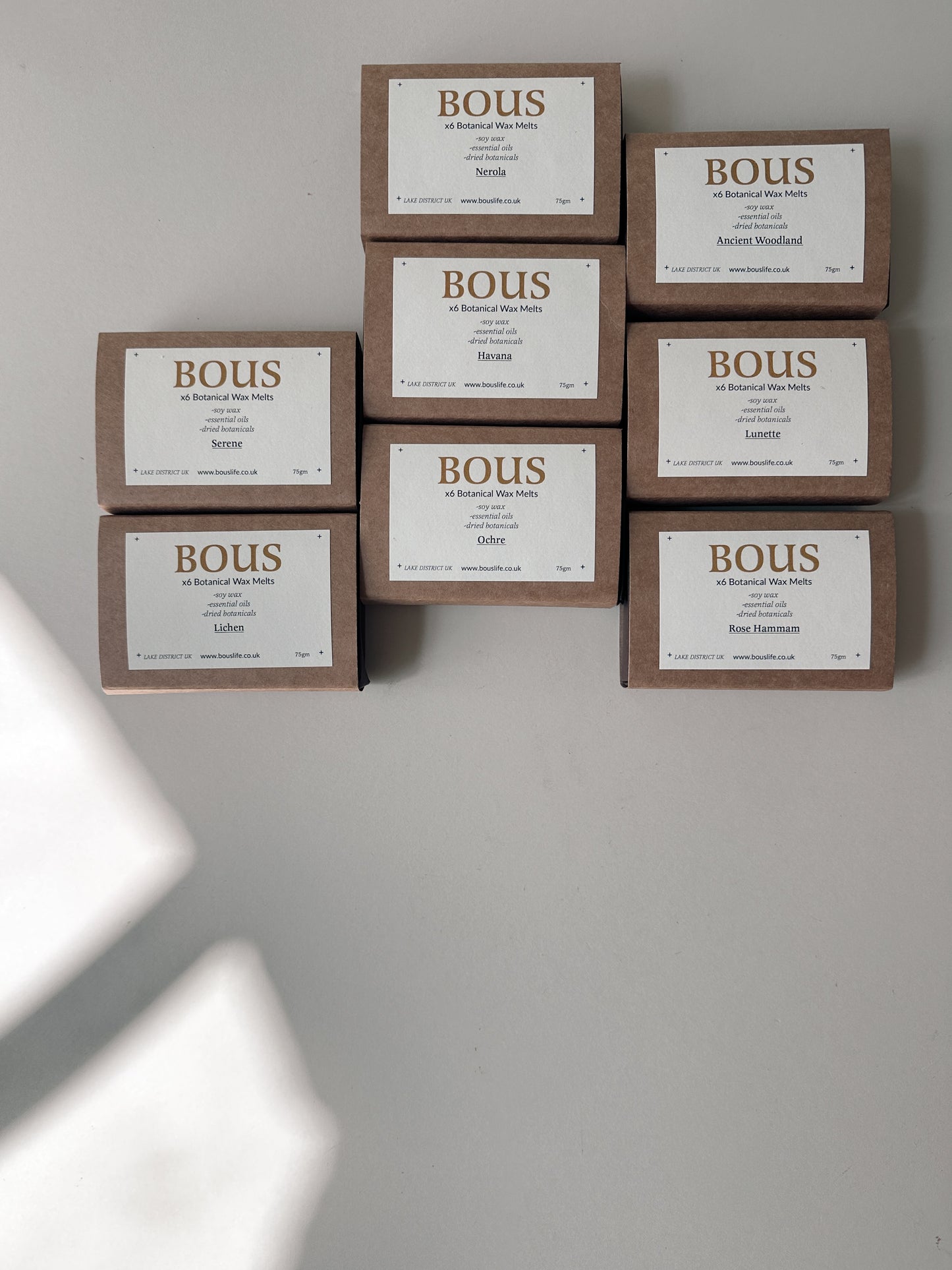 6 Botanical Scented Aromatherapy Wax Melts