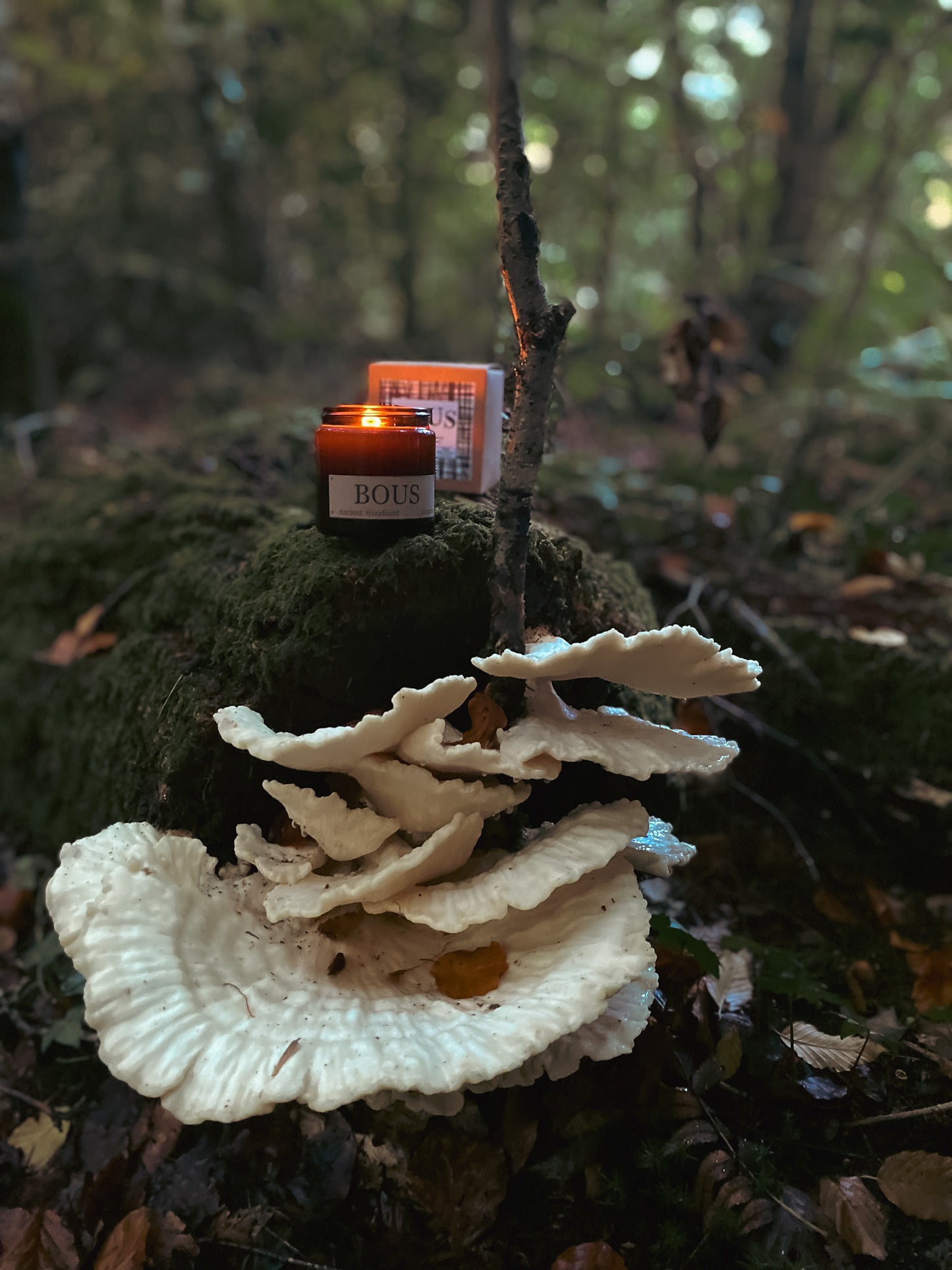 Ancient Woodland- Medium Hand Poured Soy Aromatherapy Candle with Wooden Wick