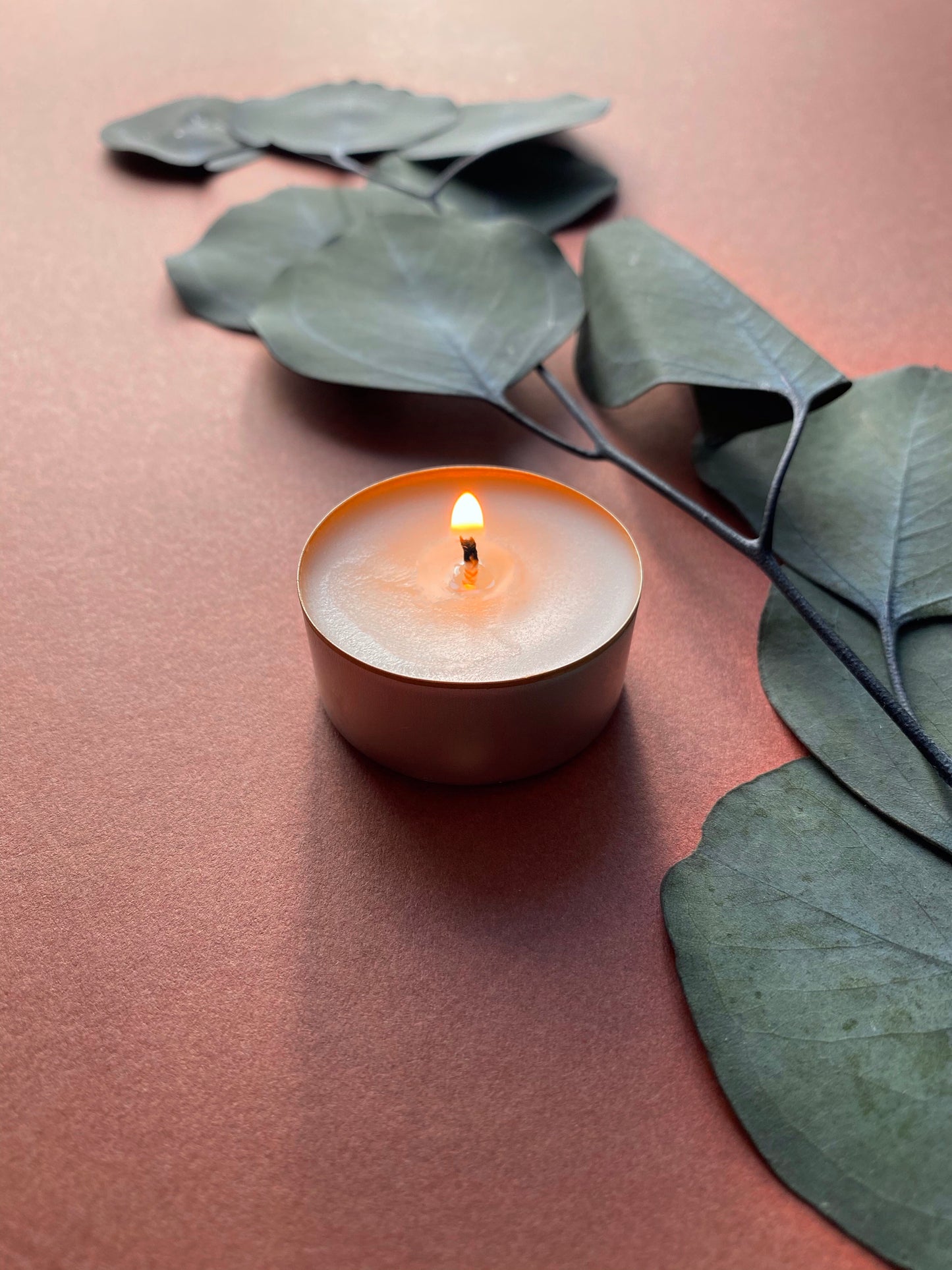 6 Lichen- Oakmoss - Scented Aromatherapy Tealights